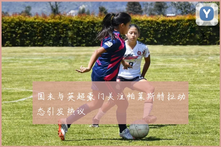 国米与英超豪门关注帕莱斯特拉动态引发热议